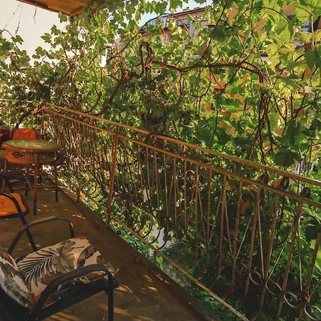 Ваканционна къща House Tsimerman 4 Bedroom Private House Free Parking Private Garden Варна
